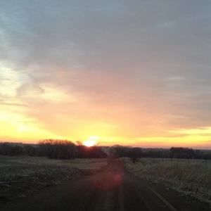 Meet your Posher, Shellie